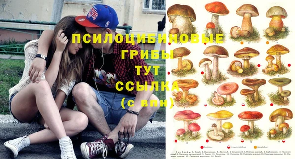 не бодяженный Покачи