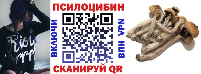 Галлюциногенные грибы мицелий блэк спрут tor Лукоянов наркота